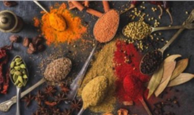 मसालों का निर्यात रिकॉर्ड 4.46 अरब डॉलर पर पहुंचा, लाल मिर्च में 15 प्रतिशत की वृद्धि