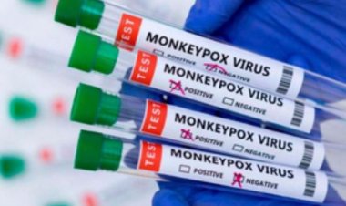 कांगो में मंकीपॉक्स से अब तक 610 लोगों की मौत