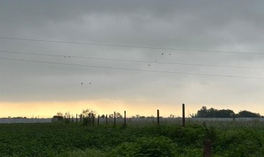 गांधी सागर बांध का जलस्तर 1304.43 फीट पहुंचा:दो दिन मौसम साफ रहेगा, फिर गरज चमक के साथ हल्की बारिश का अनुमान