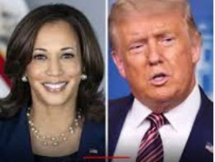 ट्रंप ने हैरिस की पहचान पर सवाल उठाया : वह अश्वेत हैं या भारतीय?