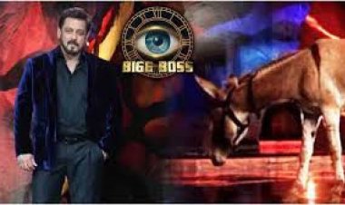 बिग बॉस का 'गधा' बना सलमान ख़ान के लिए मुसीबत