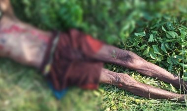 बांद्रा गांव में मिला बुजुर्ग का शव:नहीं हो पाई पहचान, घंसौर पुलिस जांच में जुटी