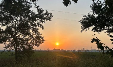 मंदसौर मौसम अपडेट, दिन में गर्मी शाम ठंडी:नवंबर के पहले सप्ताह में बढ़ेगी ठंड; तापमान 20 डिग्री के निचे पहुंचने का अनुमान