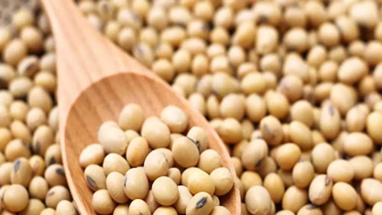 समर्थन मूल्य पर पर सोयाबीन उपार्जन की कार्यवाही संवेदनशीलता से हो : मुख्यमंत्री डॉ. यादव