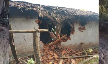 डिंडौरी में हाथियों और बाघ की दहशत जिला प्रशासन भी सहमा, बंद कराने पड़े स्कूल और हाट बाजार