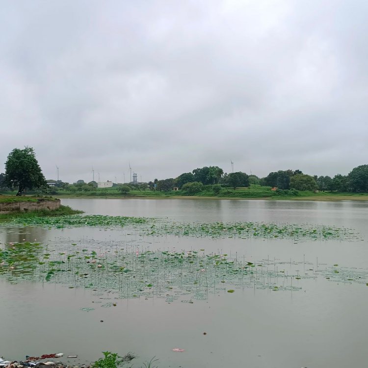 धार में उत्तरी हवाओं के कारण ठंड बढी:न्यूनतम तापमान 12 डिग्री तक पहुंचा, तीन दिन ऐसा ही रहेगा मौसम