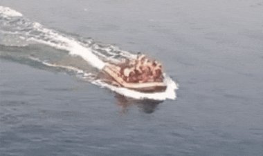 पत्नी से फोन पर बात करते नदी में कूदा युवक:शहडोल की सोन नदी के पुल लगाई छलांग; आधा किलोमीटर दूर मिला शव