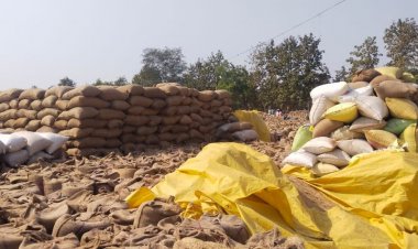 सिवनी में उपार्जन केंद्रों में धान का परिवहन हुआ धीमा:52 हजार 989 किसानों ने कराया है रजिस्ट्रेशन, 2.80 लाख मीट्रिक टन का है लक्ष्य