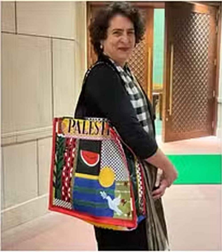 पाकिस्तान के पूर्व मंत्री ने की प्रियंका की तारीफ, फलस्तीन लिखा बैग लेकर संसद पहुंचने पर दिया बयान