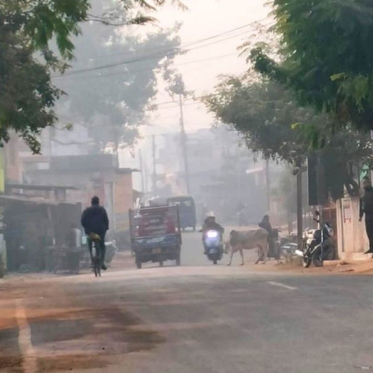 मंडला में बदला मौसम का मिजाज:ग्रामीण इलाकों में सुबह 9 बजे तक छाया घना कोहरा, पंजाब-हरियाणा में साइक्लोनिक सर्कुलेशन सक्रिय