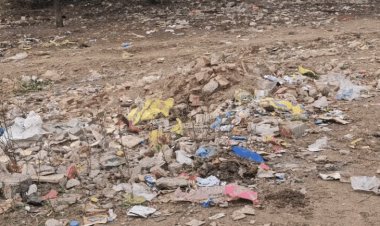 शाजापुर में दावों से अलग स्वच्छता की हकीकत:भास्कर ग्राउंड रिपोर्ट; कई वार्डों में जगह-जगह लग रहा गंदगी का अंबार, रहवासी परेशान