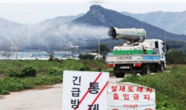 दक्षिण कोरिया से 20वां एवियन इन्फ्लूएंजा का मामला आया सामने