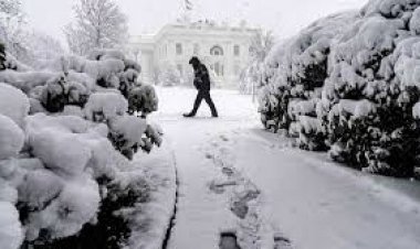 बर्फ़ीले तूफ़ान की चेपट में अमेरिका, सात राज्यों में इमरजेंसी की घोषणा