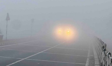 मकर संक्रांति पर मंदसौर में छाया कोहरा:विजिबिलिटी 200 मीटर, तापमान पहुंचा 7 डिग्री; कल बूंदाबांदी की संभावना