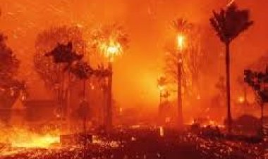 कैलिफ़ोर्निया के जंगलों में लगी आग से अब जेलों में बंद सैकड़ों कैदी भी लड़ रहे