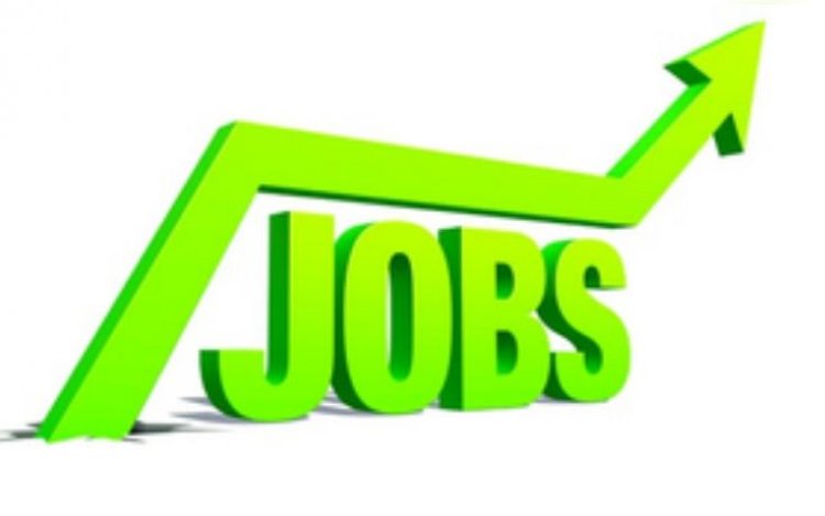 वित्त वर्ष 2024 में बढ़ी नौकरियां, 4.67 करोड़ अतिरिक्त रोजगार का हुआ सृजन, जारी रहेगा ट्रेंड