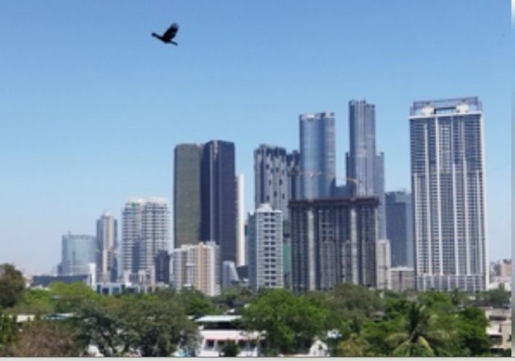 भारत में लोग खरीद रहे बड़े फ्लैट, 2024 में औसत साइज 8 प्रतिशत बढ़ा