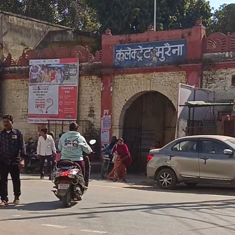 मुरैना में 8.5 डिग्री पहुंचा न्यूनतम तापमान:दिन में खिल रही तेज धूप; 3 फरवरी से हल्की बूंदाबांदी की संभावना