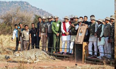 मध्यप्रदेश की पावन धरा पर रफ्तार भर रहा है चीता : मुख्यमंत्री डॉ. यादव