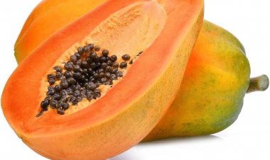 Health NEWS: गर्मियों के मौसम में पपीता खाने के फायदे जो आपको हैरान कर देंगे