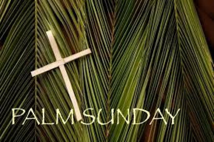 पाम संडे या खजूर रविवार ईसाई धर्म के लिए बेहद खास होता है पाम संडे रविवार, 13 अप्रैल को मनाया जाएगा।