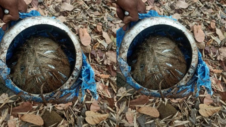 नक्सलियों की साजिश हुई नाकाम, गट्टाकाल के जंगल में जवानों ने बरामद किया 5 किलो का IED, मौके पर किया डिफ्यूज