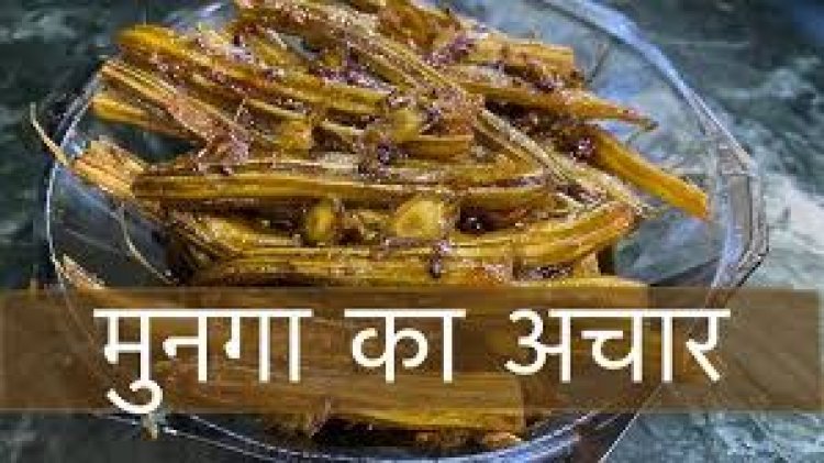 सहजन का अचार स्वाद के साथ-साथ सेहत के लिए काफी फायदेमंद साबित होते हैं.