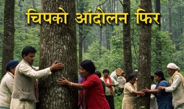 सड़क चौड़ीकरण के खिलाफ विरोध: भोपाल में 8 हजार पेड़ों की कटाई रोकने के लिए 18 मई को जनजुटाव