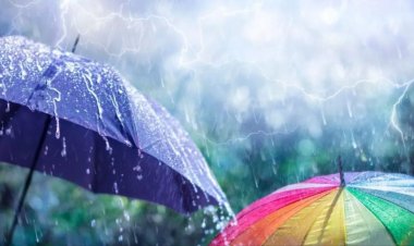 Weather Update: छत्तीसगढ़ में आज फिर तेज आंधी और गरज-चमक के साथ बरसेंगे बादल, अगले 3 तीन घंटे में 3 जिलों में बारिश का अलर्ट जारी….