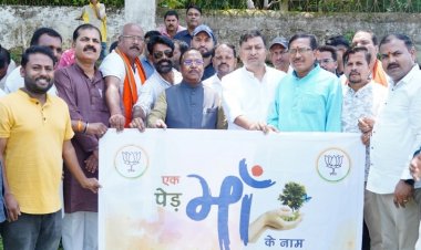 वृक्षारोपण प्रकृति संरक्षण की दिशा में महत्वपूर्ण कदम: मंत्री  रामविचार नेताम