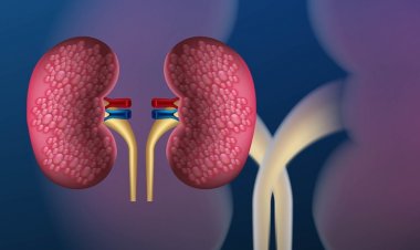 रात के समय दिखने लगते हैं Kidney Damage के ये लक्षण, समय रहते सतर्क न हुए तो बढ़ सकता है खतरा