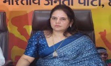 कपड़ा मार्केट में दोनों ओर से प्रवेश द्वार की अनुमति व्यापारियों को नहीं दी जाएगी : मीनल चौबे