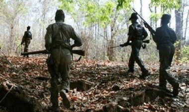 बस्तर में नक्सलियों को बड़ा झटका! प्रेस नोट जारी कर सेंट्रल मेंबर समेत 7 माओवादियों के मारे जाने की स्वीकारी बात…