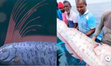 Baba Venga: दुनियाभर में दिखी कयामत वाली मछली, क्या सच होने वाली है बाबा वेंगा की भविष्यवाणी