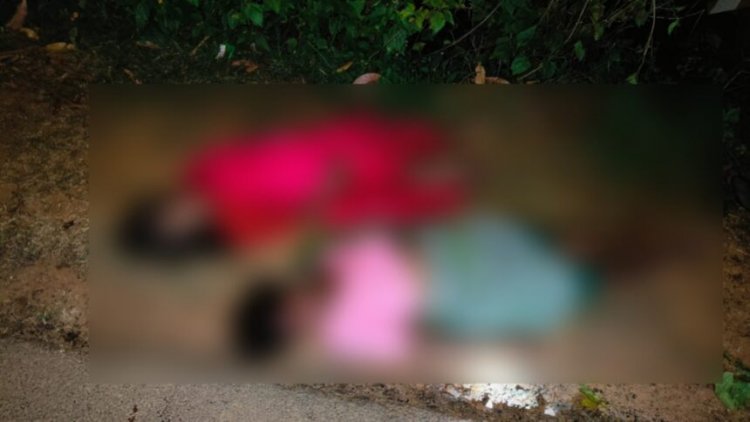 CG : तेज रफ्तार का कहर — 18 सवारियों से भरी गाड़ी पलटी, 2 की मौके पर मौत, 5 गंभीर