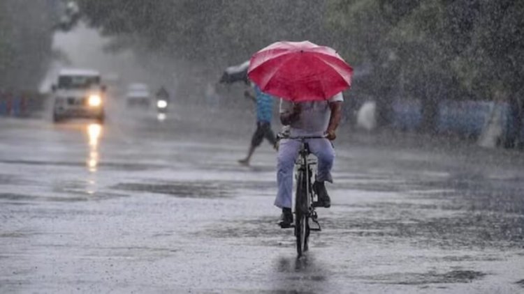 Weather Update : छत्तीसगढ़ में एक बार फिर मानसून सक्रिय, राजधानी समेत कई जिलों में झमाझम बारिश के आसार, जानें IMD का अलर्ट