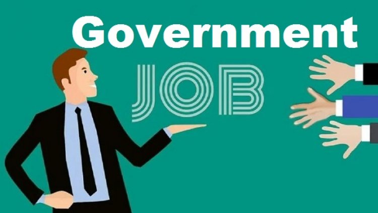 Government jobs: 12वीं पास के लिए बड़ी खुशखबरी! छत्तीसगढ़ में निकली 295 पदों पर सरकारी नौकरी, इस दिन से कर सकेंगे आवेदन