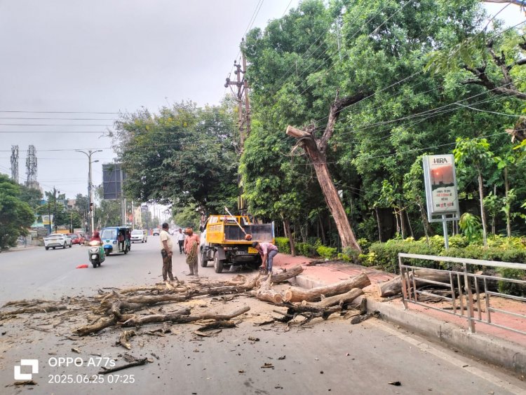 निगम जोन 5 उद्यान विभाग ने राजकुमार कॉलेज के पास जीईमार्ग पर सूखे हुए खतरनाक पेड़ों को मार्ग पर से हटाया