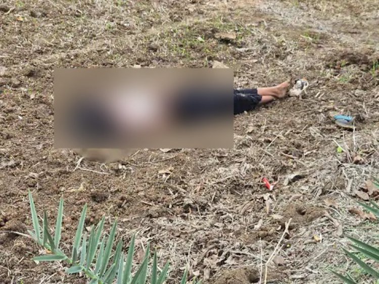 CG - 16 वर्षीय लड़की की बेरहमी से हत्या, खेत में खून से लथपथ मिली लाश, इलाके में फैली सनसनी
