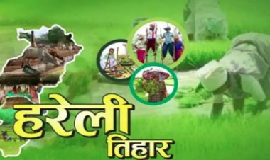 छत्तीसगढ़ की पहली पारम्परिक लोक पर्व हरेली, जानिए क्यों विशेष है यह त्यौहार