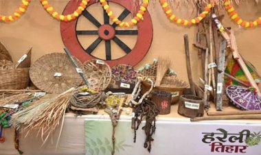 मुख्यमंत्री निवास में हरेली उत्सव: छत्तीसगढ़ी परंपराओं की झलक, पारंपरिक कृषि यंत्रों के साथ बिखरी सांस्कृतिक छटा