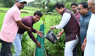 पौधरोपण सिर्फ हरियाली नहीं, मां के प्रति समर्पण की जीवंत प्रतिमा है : विधायक डॉ संपत अग्रवाल