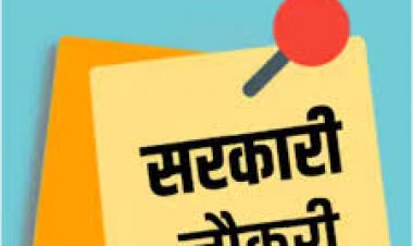 CG सरकारी नौकरी : इन पदों पर निकली भर्ती, 12वीं पास भी कर सकते है आवेदन, देखें पूरी डिटेल…