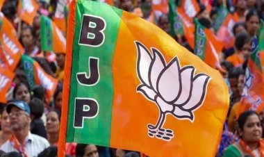 ब्रेकिंग : भाजपा ने इन जिलों में पदाधिकारियों की घोषणा, जानिए किसे क्या मिली जिम्मेदारी, देखें पूरी लिस्ट…!!