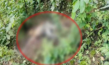 ब्रेकिंग : पूर्व विधायक के भाई की जंगल में मिली सड़ी-गली लाश, जताई जा रही ये आशंका, जांच में जुटी पुलिस…