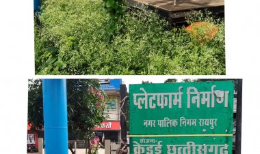 अनुपम गार्डन के पास नेकी की दीवार क्षेत्र में भारी कचरा और गन्दगी फैले होने की जनशिकायत का निगम स्वास्थ्य विभाग द्वारा तत्काल सफाई गैंग भेजकर स्वच्छता कायम कर त्वरित निदान