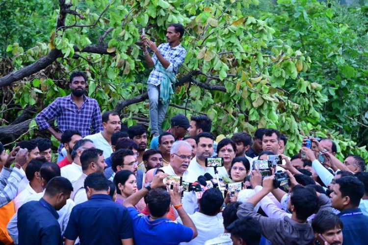 भूपेश बघेल ने ट्वीट  से कहा- उजाड़ दिया.. जंगल उजाड़ दिया.देखकर मन सिहर गया.