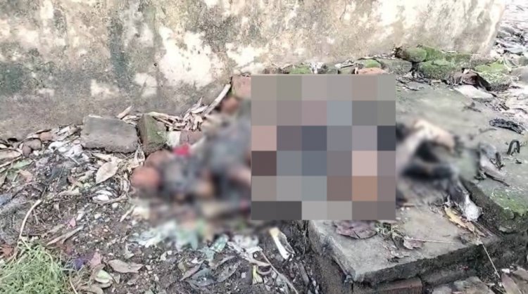 मानवता हुई शर्मसार : महिला की अधजली लाश को कचरा उठाने वाली गाड़ी में डालकर लाया गया अस्पताल