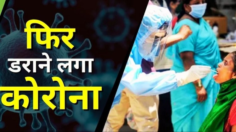 Corona Update : छत्तीसगढ़ में फिर डराने लगा कोरोना, इस जिले में Corona Update : छत्तीसगढ़ में फिर डराने लगा कोरोना, इस जिले में एक ही दिन में मिले इतने पॉजिटिव मरीज एक ही दिन में मिले इतने पॉजिटिव मरीज