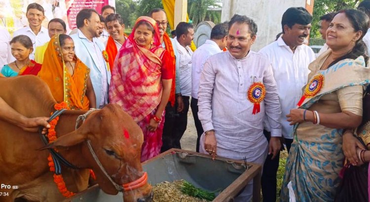  75 आदिवासी महिला किसानों को दी गई दुधारू गायें